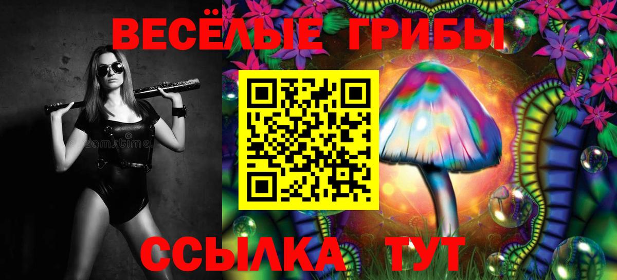 Галлюциногенные грибы Psilocybe  Псилоцибиновые грибы Magic Shrooms  Вход с VPN  Крымск 